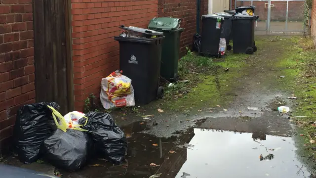 Bins in Doncaster