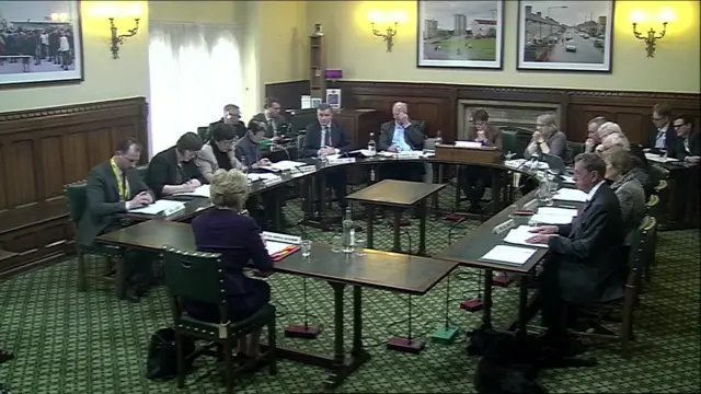 A wide shot of the entire committee and Ms Leadsom