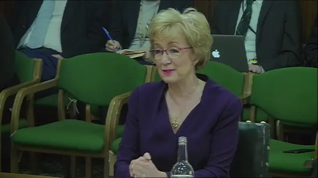 Leader of the House of Commons Andrea Leadsom