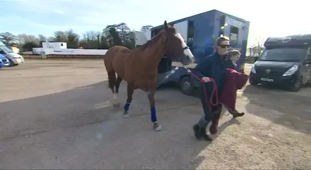 Horse and rider