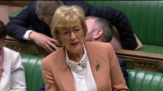 Andrea Leadsom