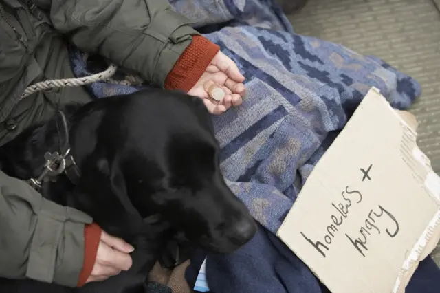 Homeless person with dog