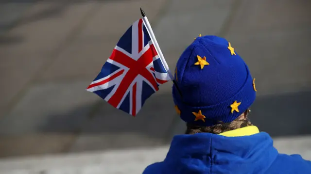 An anti-Brexit demonstrator protests outside the Houses of Parliament