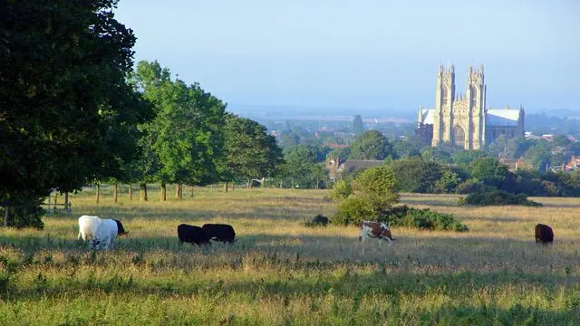 Beverley Westwood