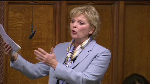 Anna Soubry