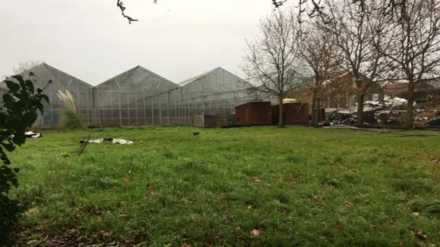 Guernsey cannabis farm site