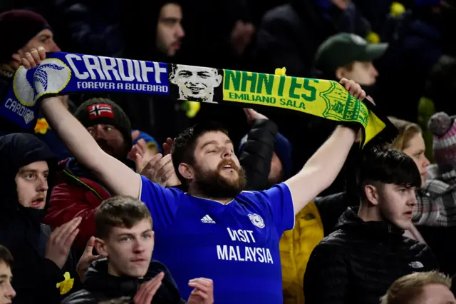 Cardiff fan
