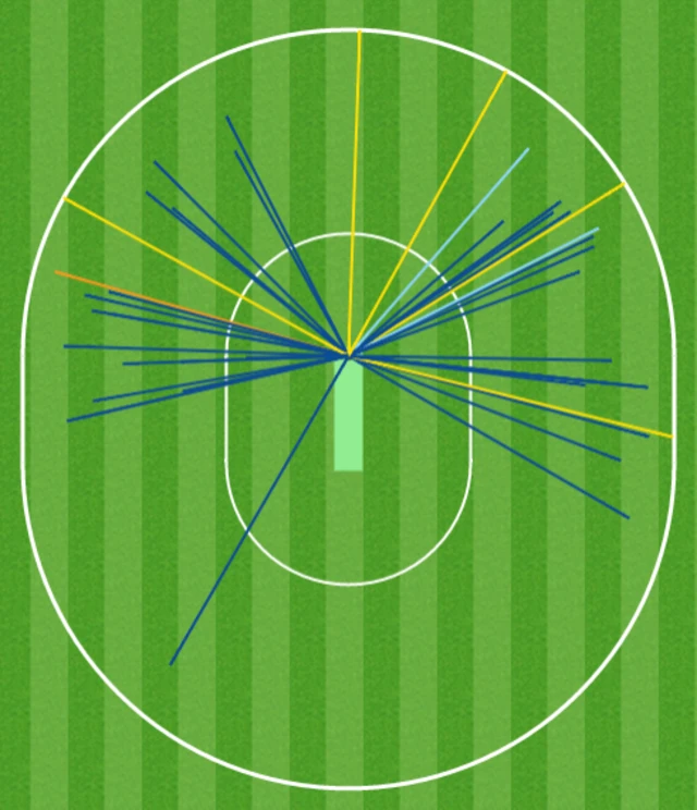 Joe Root wagon wheel