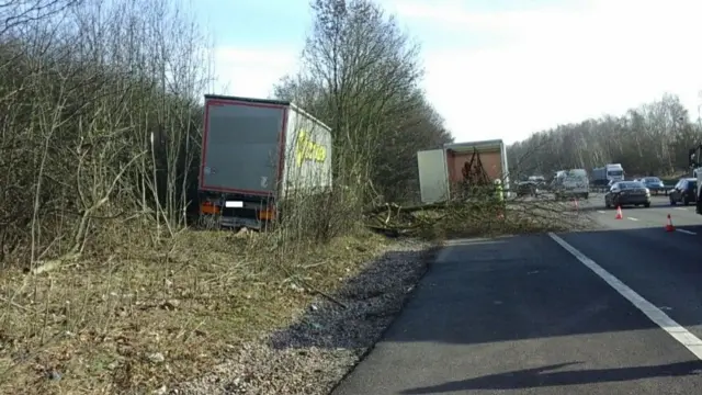 Lorry at side of motorway with tree down