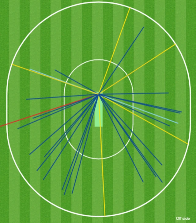 Ben Stokes wagon wheel