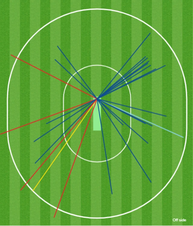 Chris Gayle wagon wheel