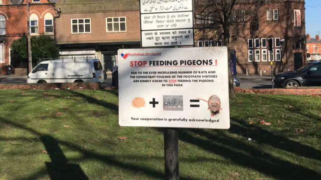 Sign saying stop feeding pigeons in Sparkhill park