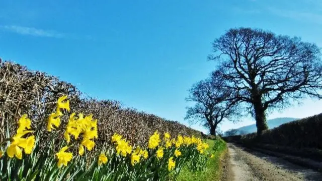 Longnor