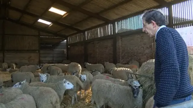 Farmer and his sheep