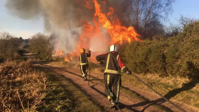 Fire at Sutton Park