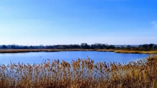 Bodymoor Heath