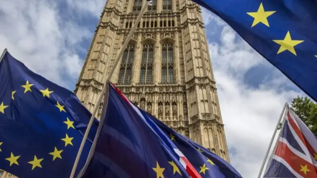 Flags outside Westminster