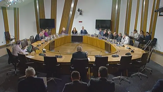 Holyrood's culture committee has flagged up several concerns with the bill