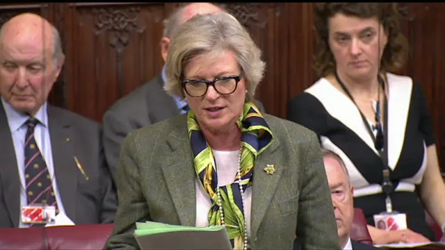 Baroness Bloomfield