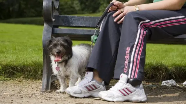 Person wearing electronic tag with dog