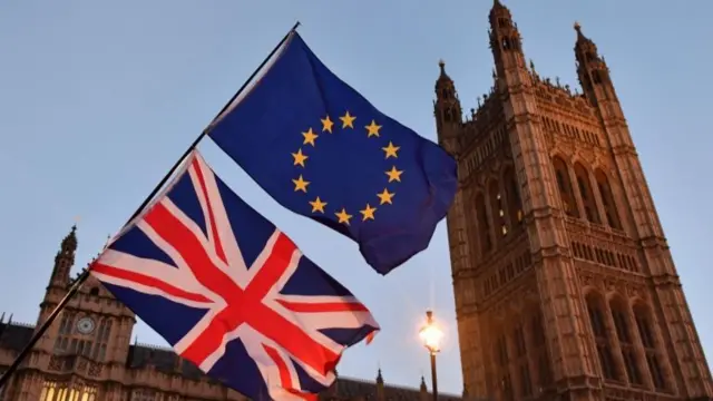 GB and EU flags outside Parliament