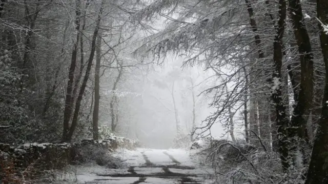 Snow in Great Rowsley