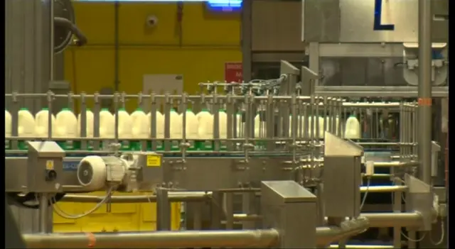 MILK PRODUCTION LINE