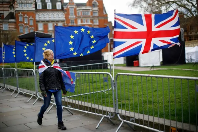 Brexit protestors