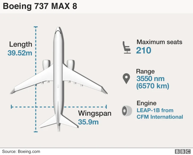 Graphic showing the Boeing 737 Max 8 plane