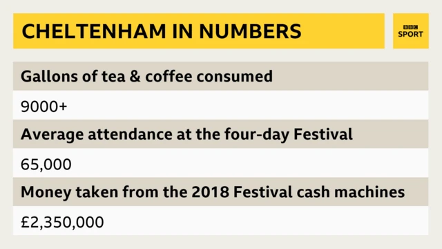 Cheltenham in numbers