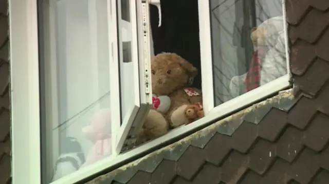 Teddy in window