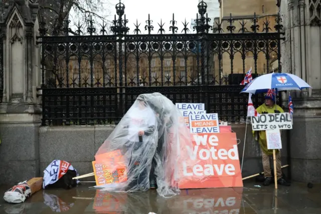 Demonstrators outside the Palace of Westminster