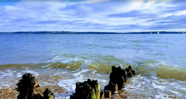 Lepe Country Park