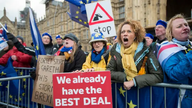 Pro-EU protesters