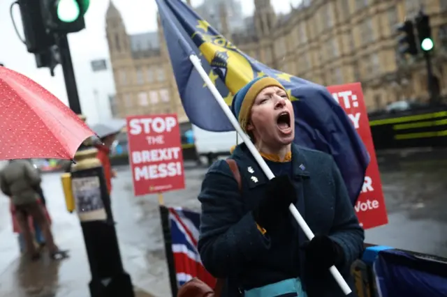 A demonstrator outside Parliament