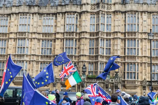 Brexit protestors