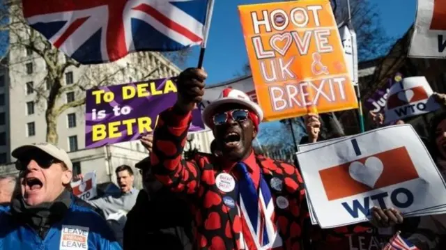 Brexit protestors