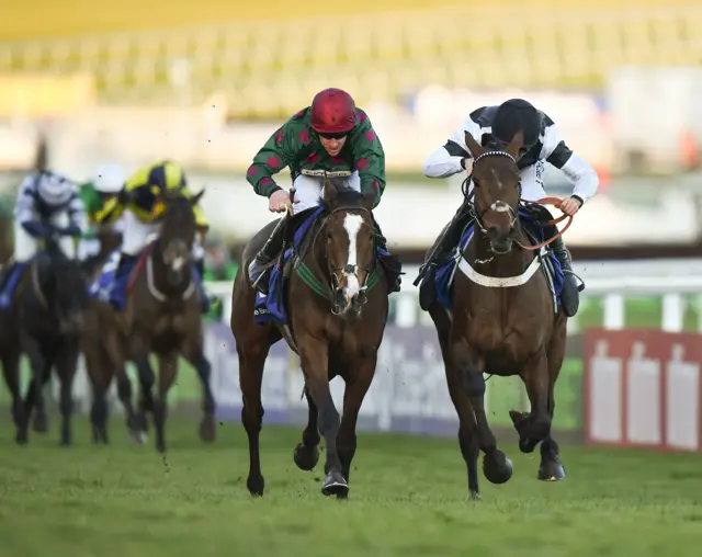 Horses racing at Cheltenham