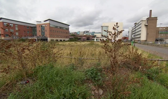 Island site as it looks now