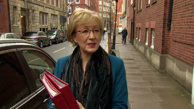 Andrea Leadsom