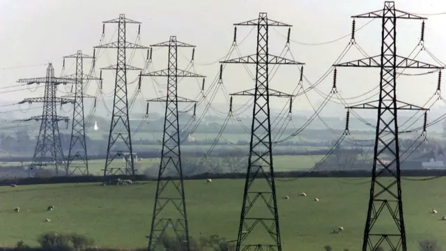 Electricity pylons