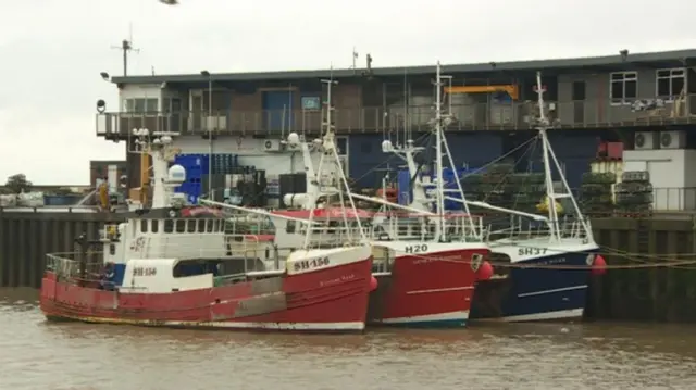 Fishing boats