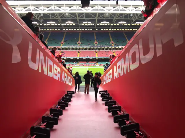 A view of the pitch from the tunnel