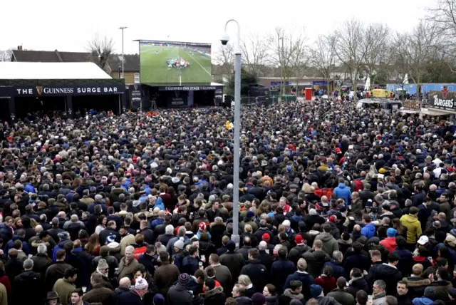 Twickenham fans