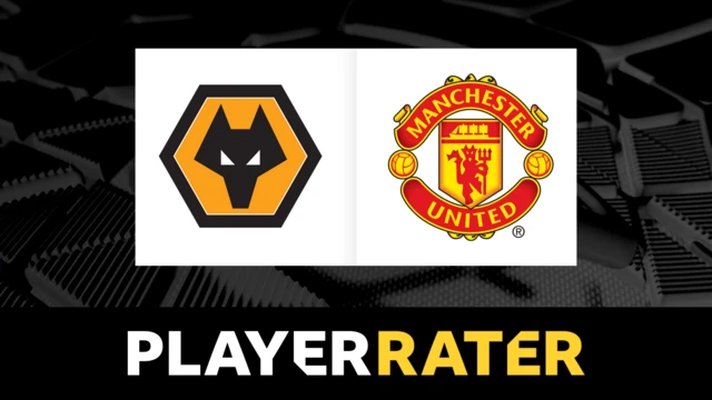 Player rater graphic