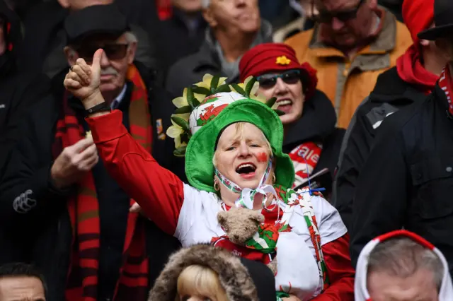 Wales fan sings