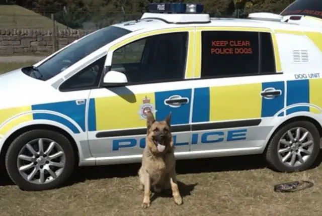 PD Muro