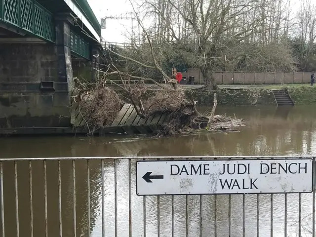 River Ouse in York