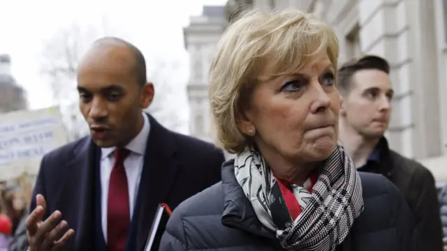 Anna Soubry