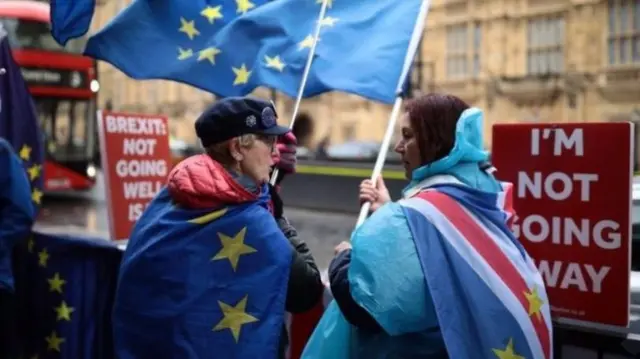 Two Brexit protestors